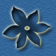 startblume.jpg 80x80